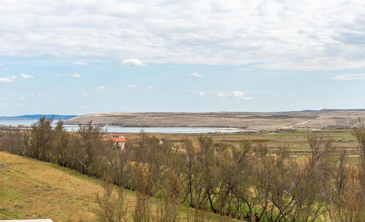 Opg Dragoslavic *